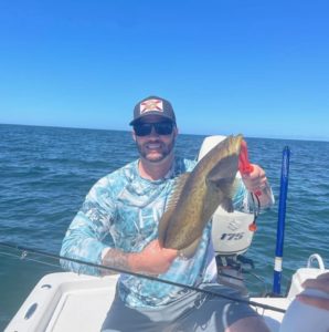 shallow water grouper