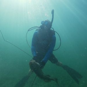 spearfishing grouper