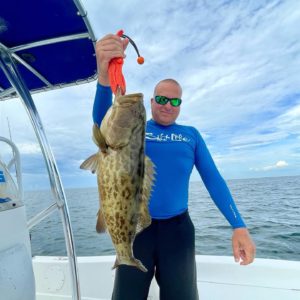 shallow water grouper