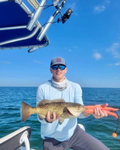 photo inshore grouper