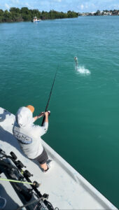 inshore fishing charter